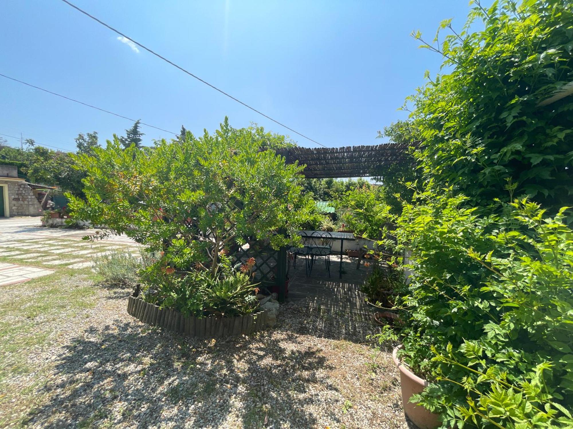 Casa Cirilla - Argonautivacanze Procchio  Exteriör bild
