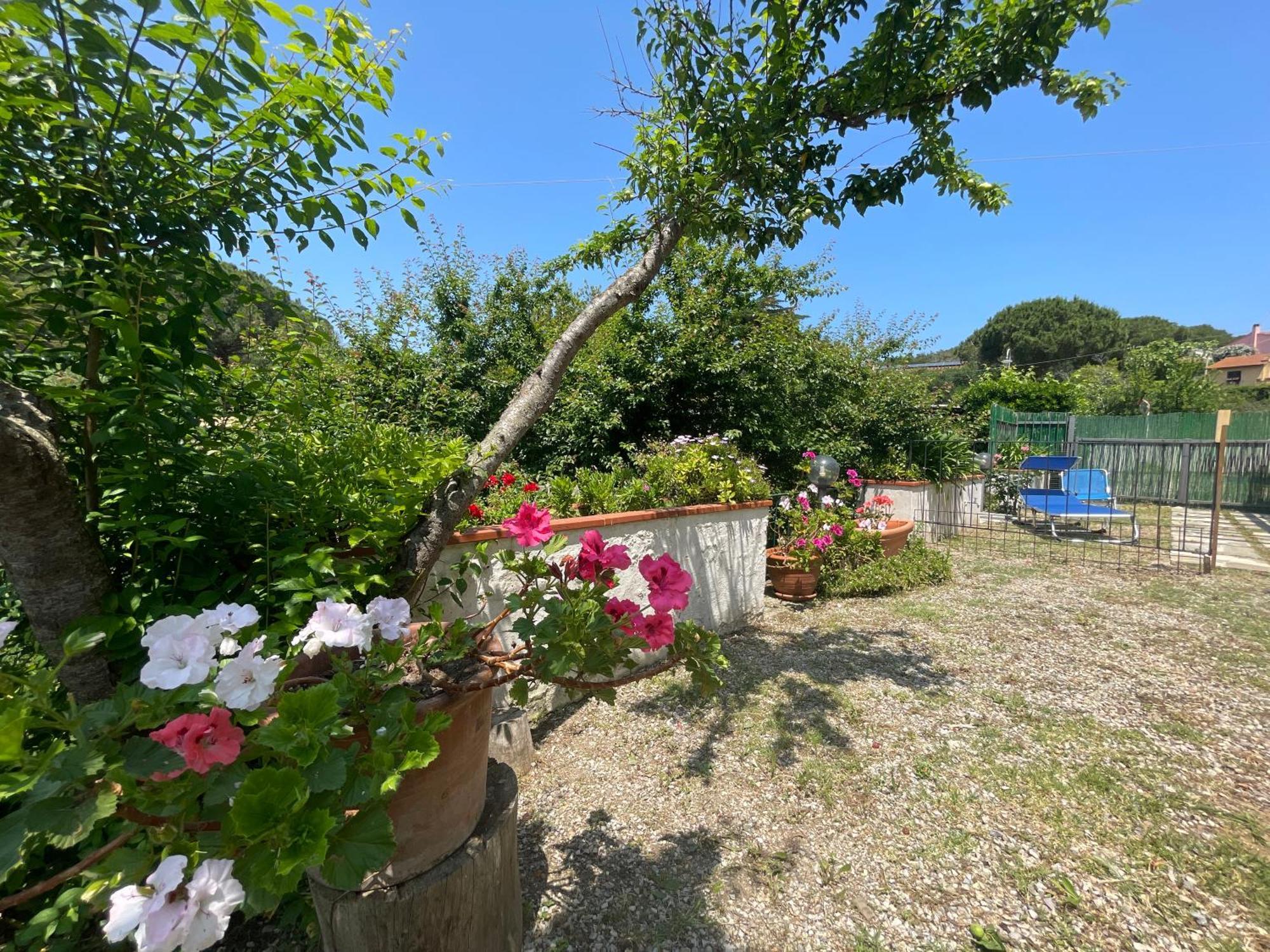 Casa Cirilla - Argonautivacanze Procchio  Exteriör bild