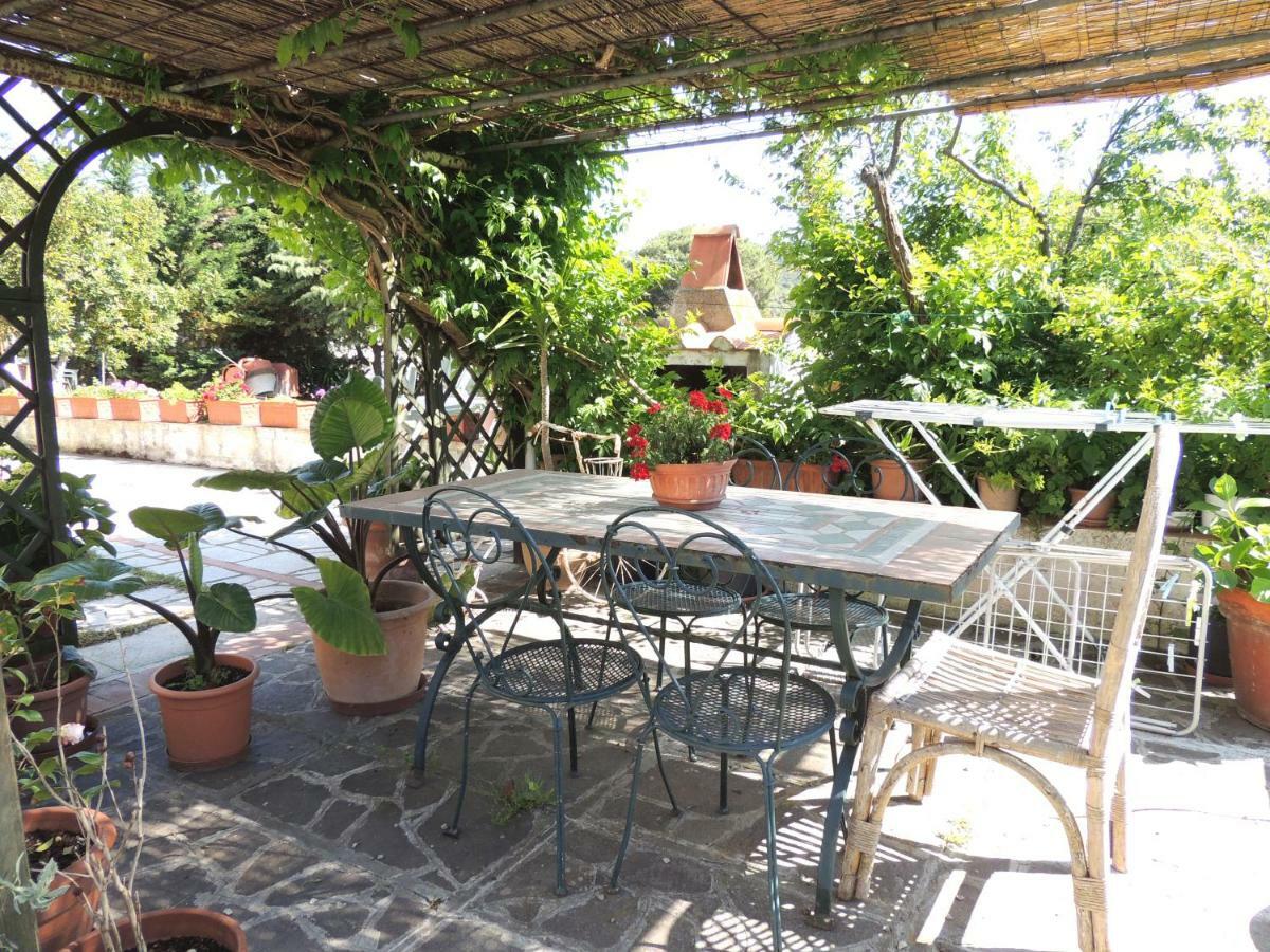 Casa Cirilla - Argonautivacanze Procchio  Exteriör bild